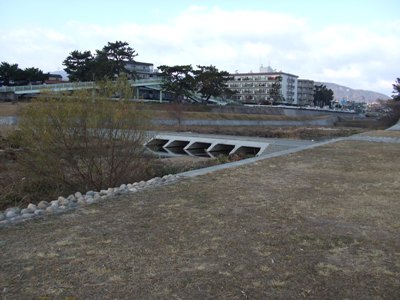 武庫川河川敷緑地（仁川合流点3）