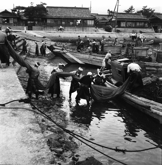 昭和32年　魚網をおろす