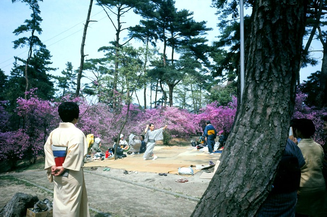 花見の楽しみ（昭和48年）