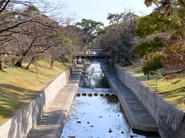 2022年3月16日の桜