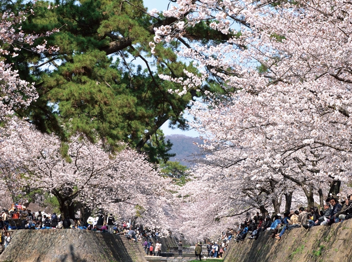 写真：夙川