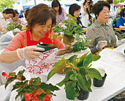 写真：園芸教室