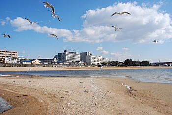 写真：御前浜