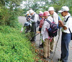 写真：西宮自然保護協会