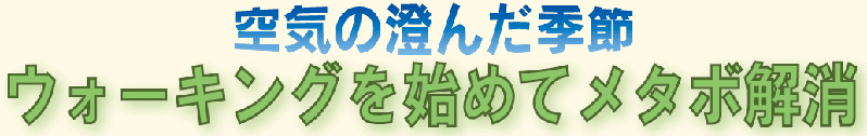 空気の澄んだ季節 ウォーキングを始めてメタボ解消