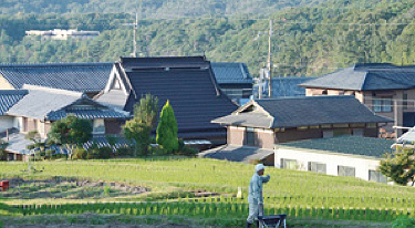 写真：船坂を散歩