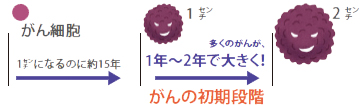 イラスト：がん細胞（1センチになるのに約15年）多くのがんが1年〜2年で大きく！（がんの初期段階）