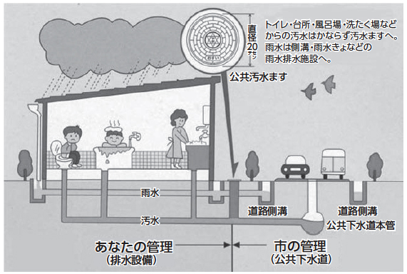 【下水道の管理区分】トイレ・台所・風呂場・洗たく場などからの汚水はかならず汚水ますへ。雨水は側溝・雨水きょなどの雨水排水施設へ。　排水設備（あなたの管理）　汚水、雨水　公共下水道（市の管理）　公共汚水ます、道路側溝、公共下水道本管