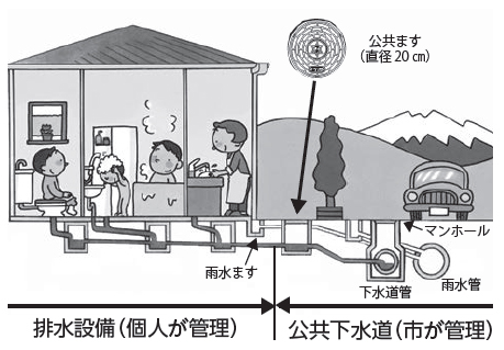 【下水道の管理区分】排水設備（個人が管理）雨水ます・公共下水道（市が管理）公共ます（直径20 ㎝）マンホール、下水道管、雨水管