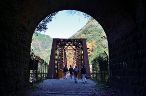 写真：JR福知山線廃線敷