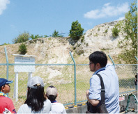 写真: 満池谷層の植物遺体包含層