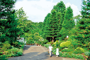 写真：北山緑化植物園