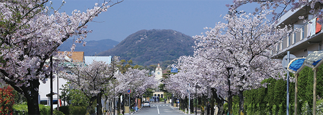 写真：関西学院周辺