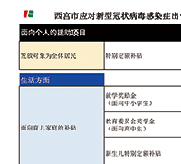 画像：中国語版の各種支援一覧