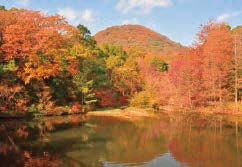 写真：紅葉も楽しむことができる庭園