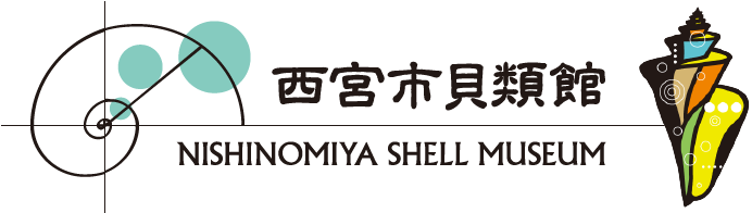 西宮市貝類館 NISHINOMIYA SHELL MUSEUM