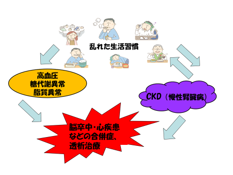 腎機能が低下し進行すると脳卒中や心疾患などの合併症や透析治療になる図