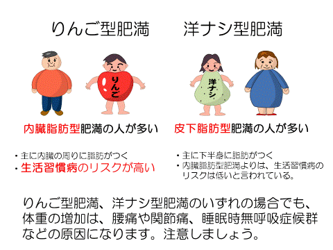 りんご型肥満と洋ナシ型肥満について