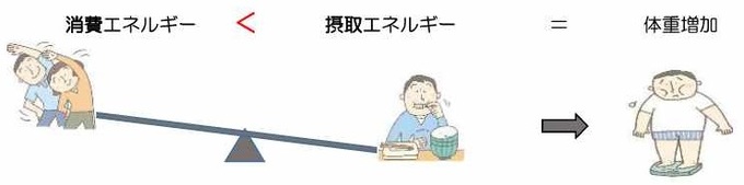 消費エネルギー＜摂取エネルギー＝体重増加