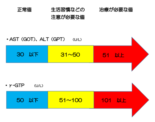 肝機能