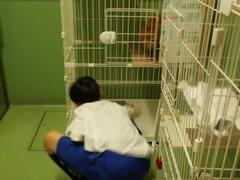 トライやるウィーク画像（1）