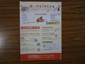 地域猫活動チラシ