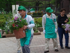 花と緑のまちづくりリーダー活動の様子