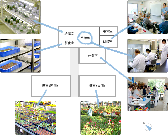 施設の紹介図