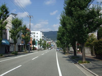 苦楽園口通り（菊谷町付近）　イチョウ