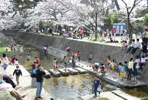 夙川河川敷緑地