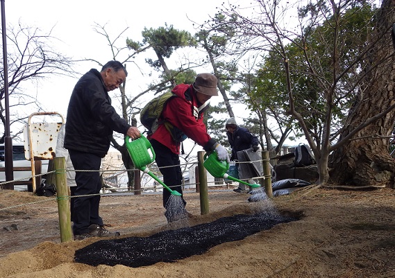 菌根菌資材の散布