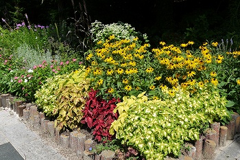 北山サポーターの方たちが自分たちで管理している花壇