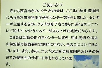 ごあいさつ
