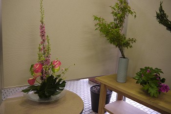 展示作品