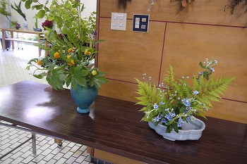 展示作品