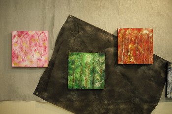 展示作品