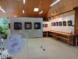 展示風景