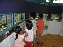 サポートセンターミニミニ水族館