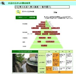 水辺の生きもの調査結果