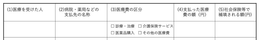 医療費の明細欄のイメージ