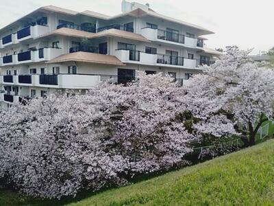 夙川アーバンライフ　写真