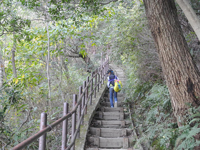 甲山森林公園