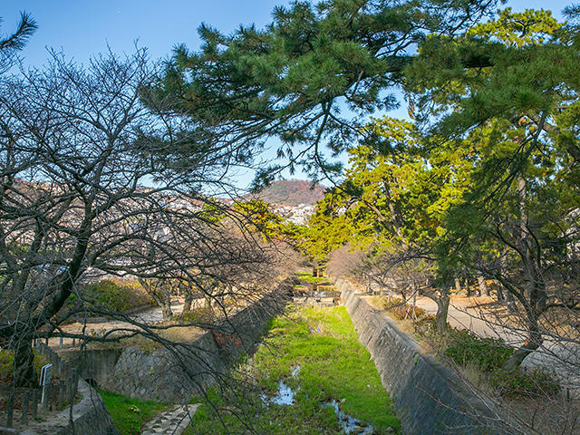 春の甲山