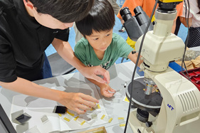 科学のおもしろさを体験！「ひょうご科学塾in西宮」が開催