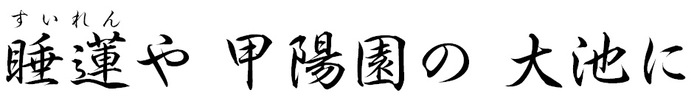 睡蓮や 甲陽園の 大池に